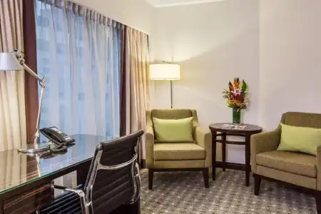 Holiday Inn Singapore Orchard City Centre by IHG - 61