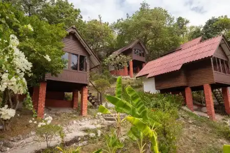 Coral View Resort - 154