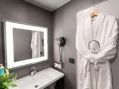 Novotel Angers Lac de Maine - 62