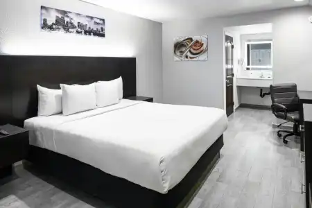 Hollywood Inn Express LAX - 37