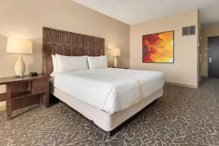 Hilton La Jolla Torrey Pines - 109