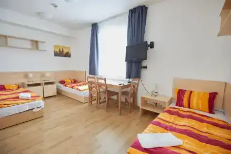 University - 6