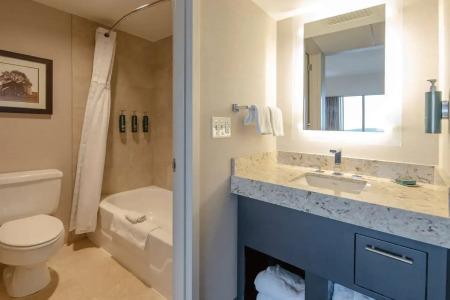 Doubletree by Hilton Cedar Rapids Convention Complex - 9