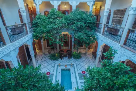 Riad Laurence Olivier - 0
