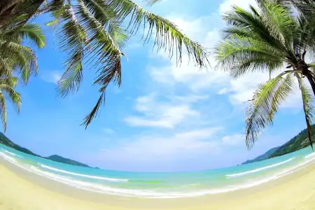 Sun Shine Patong - 17