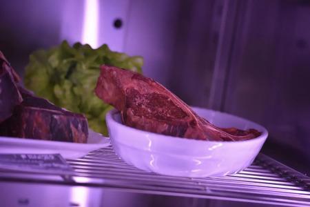 Galli's - Centro - 16