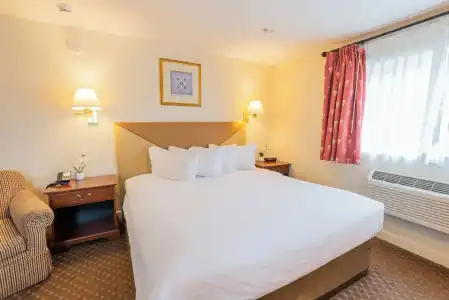 Senator Inn & Spa - 55