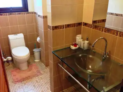 The New Villa - 16
