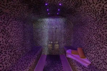 LE DIANA Hôtel & Spa Nuxe - 45