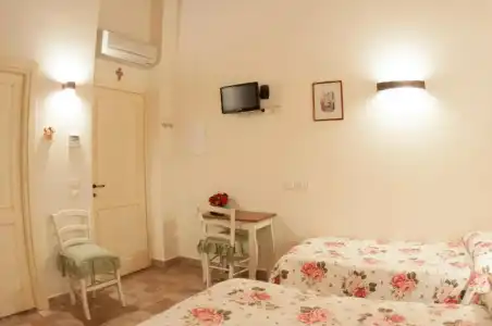 Rosa di Assisi - 24