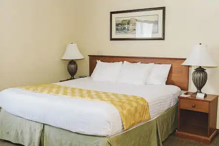 Lavissh Inn and Suites - 5