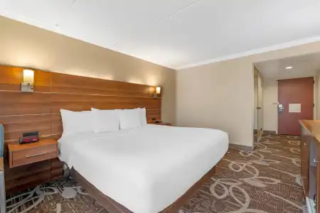 Comfort Inn Anaheim Resort - 43
