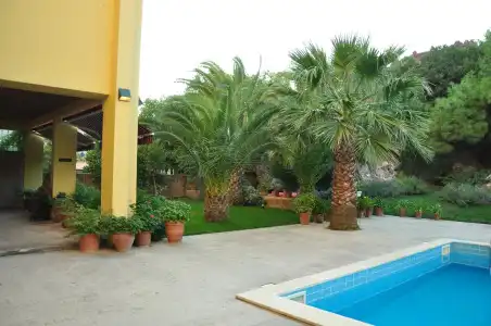 Palm Court Suites - 11