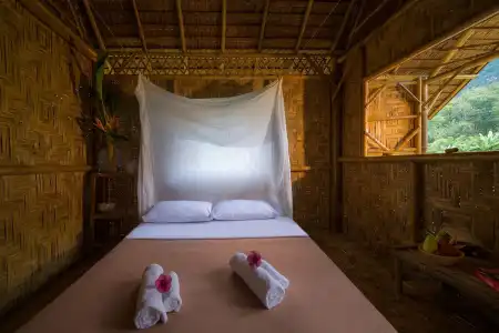 Our Jungle Camp - Eco Resort - 6