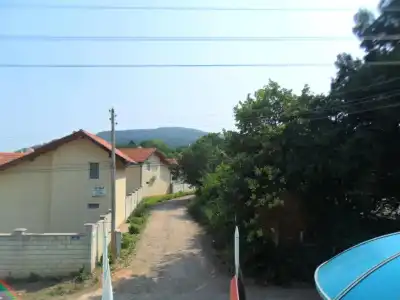 Ankor - 19