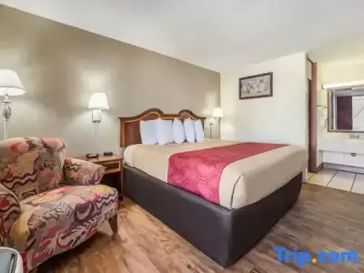 Econo Lodge Inn & Suites Macon West - 30