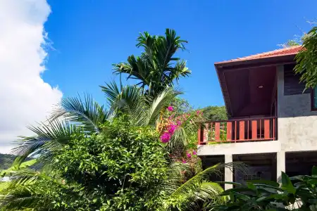 Kanya Cozy Bungalows Kata Beach - 10
