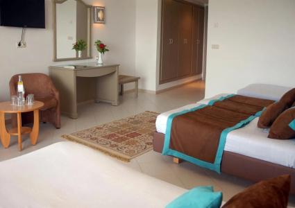 Riadh Palms- Resort & Spa - 3
