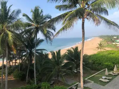 Turtle Bay - 57