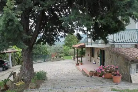 Bed & Breakfast Villa Flora - 15
