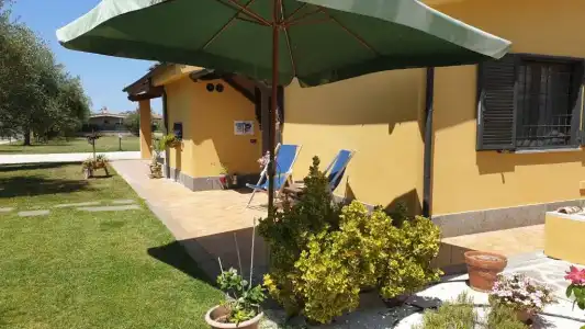 L'Antico Vigneto - 8