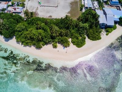 Shallow Lagoon - 14
