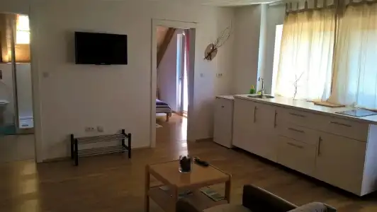 Guesthouse Bor - 52