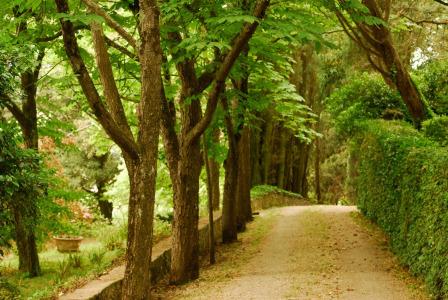 B&B Elda Country House - 17