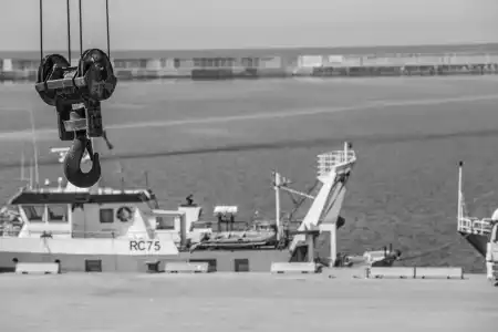 Al Faro - 20