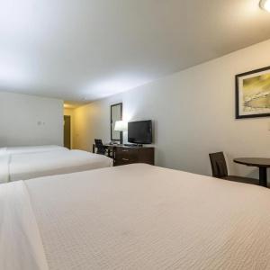 Ramada Limited Golden - 26