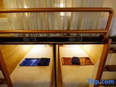 Sleep Owl Hostel - 55