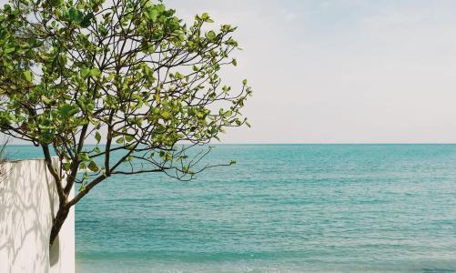Kimpton Kitalay Samui by IHG - 24