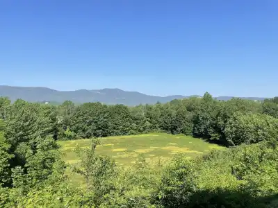 North Conway Mountain Inn - 11