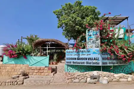 Bedouin Garden Village, Dive - 39