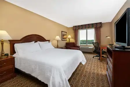 Hilton Garden Inn Florence - 4