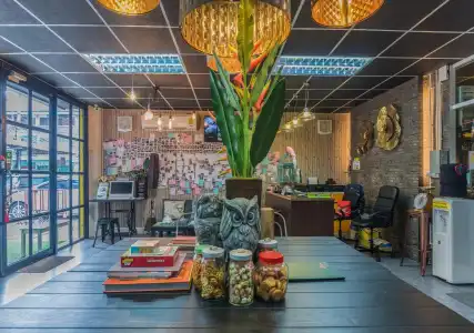 Tiger Lily Hostel - 14
