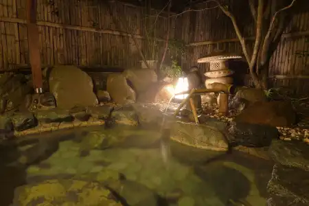 Tatsuta Ryokan - 14