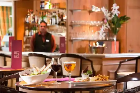 Mercure Paris Roissy Charles de Gaulle - 8