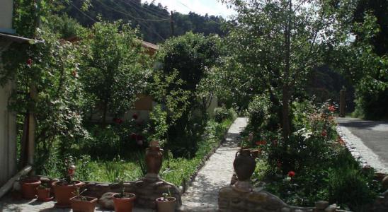 Nina B&B - 11