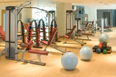 Ibis Muscat - 2