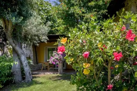 Cruccuris Resort Adults Only - 85