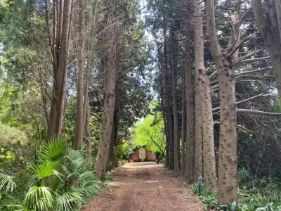Etna Botanic Garden - 51