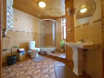Guesthouse U Dida Viktora - 9