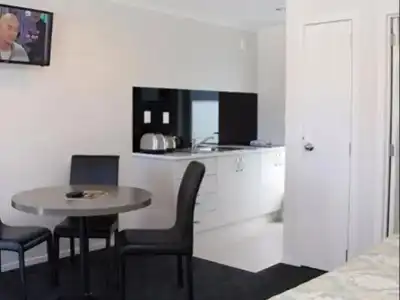 Auckland Phoenix Palm - 13