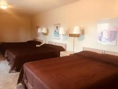 The Golden Spur - 12