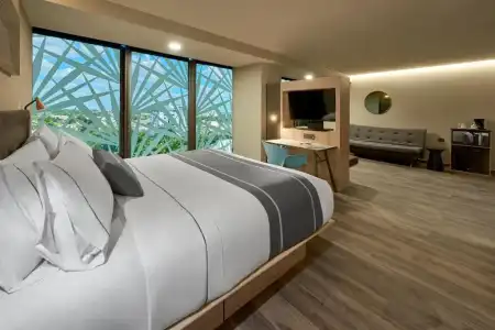 City Express Plus by Marriott Mérida - 42