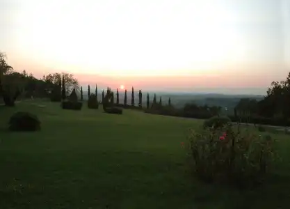 Tenuta Moriano - 13