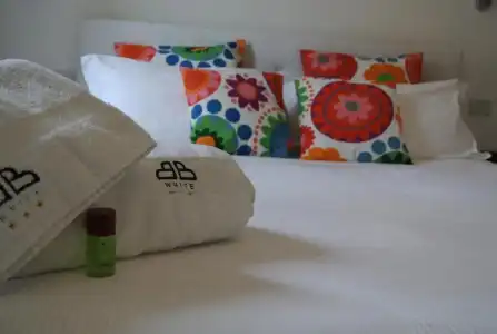 B&B White - 29