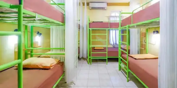 Bunk Bed and Breakfast - 29