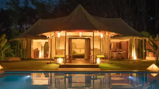 9 Hornbills Tented Camp - 50